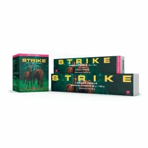 Strike Orale Pasta 1 Siringa 35g