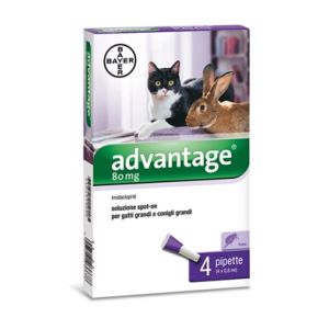 Advantage 80mg Soluzione Spot-On Gatti e Conigli 4 Pipette