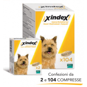 Xindex*2cpr Mast Cani