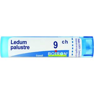 Boiron Ledum Palustre 9ch Medicinale Omeopatico Granuli Tubo