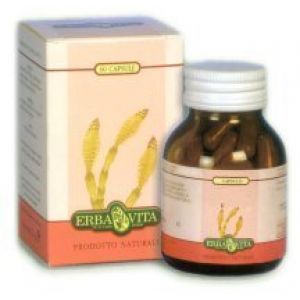 Erba Vita Fucus (Quercia Marina) Integratore Metabolismo 60 Capsule 500 mg