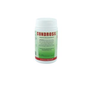 Euronatur Group Condrosil Integratore Alimentare 60 Capsule