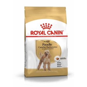 Royal Canin Crocchette per Cani Barboncino Adulti Sacco 1,5kg