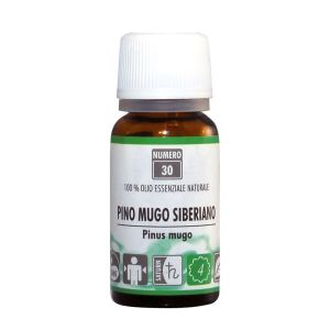 Pino Mugo Siberiano Olio Essenziale Naturale 10ml