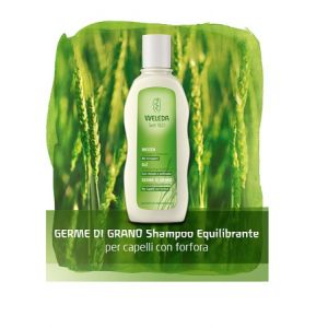Weleda germe di grano shampoo equilibrante capelli con forfora 190 ml
