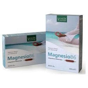 Magnesio B6 20 Ampolle Bevibili da 15ml