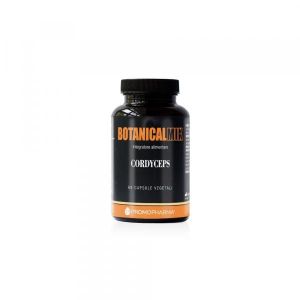 Cordyceps Botanical Mix 60 Capsule