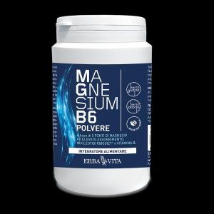 Erba Vita Magnesium B6 Polvere 200g
