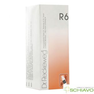 Dr.Reckeweg R6 22ml Gtt