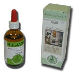 Fucus astrum rugiada 50 ml