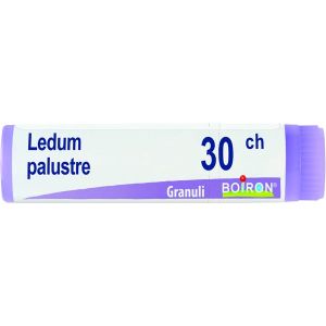 Boiron Ledum Palustre Globuli 30ch Dose 1g