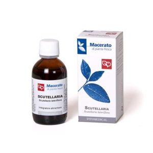 Scutellaria Tintura Madre 50ml