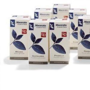 Uva Ursina Tintura Madre 200ml