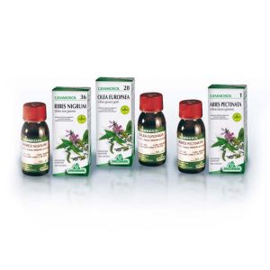 Specchiasol Gemmosol 38 Rosmarino Gemmoderivati 50 ml