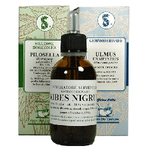 Damiana 100ml Tintura Madre