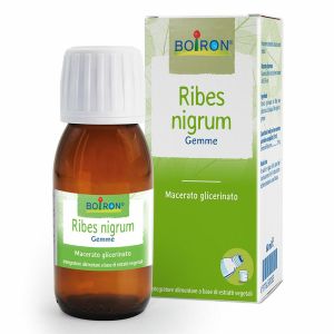Ribes Nigrum Macerato Glicerico 60ml Int