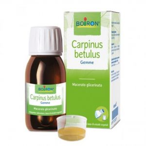 BOIRON CARPINUS BET MG 60ML INT