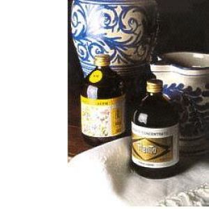 Bio-export Bio-st-joseph yeast D/e 510g
