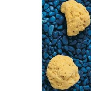 Natural Sponge Holes 10/11cm