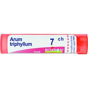 Boiron  Arum Triphyllum  Boiron  80 Granuli 7 Ch Contenitore Multidose