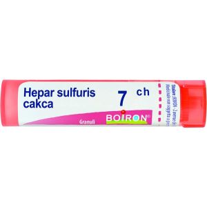 Hepar Sulfuris Calcareum  Boiron  80 Granuli 7 Ch Contenitore Multidose