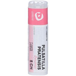 Cemon Pulsatilla Pratensis Dynamis 140  5 Ch   Granuli Contenitore MULTIdose