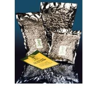 Whole Seeds Fennel Fu 1kg