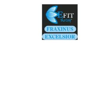 Fraxinus Excelsior Fluid Extract 30ml