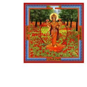 Neesha-ma Drops 30ml