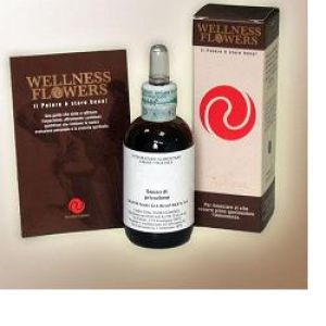Wellness Flowers N5 Safety 50ml