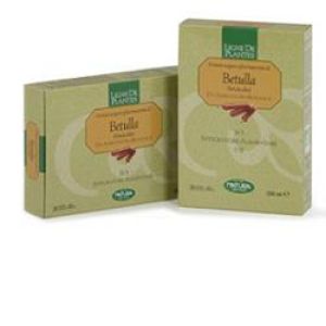 Organic birch 20 drinkable ampoules 15 ml