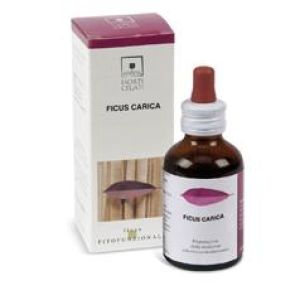Santiveri Ficus Carica Food Supplement 50ml