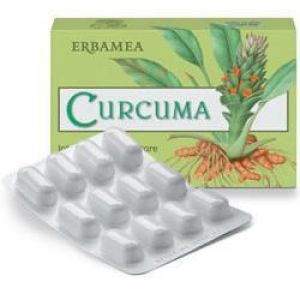 Erbamea Turmeric Food Supplement 12g