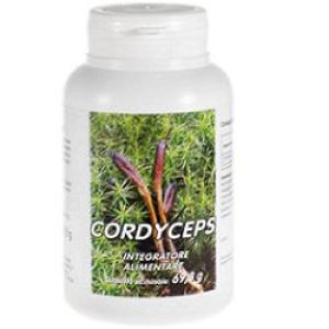 Flowers Of Life Cordyceps Food Supplement 100 Capsules