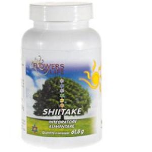 Shiitake 100 Capsules Flowers Of Life