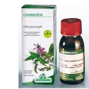 Specchiasol Gemmosol 15 Hornbeam 50ml