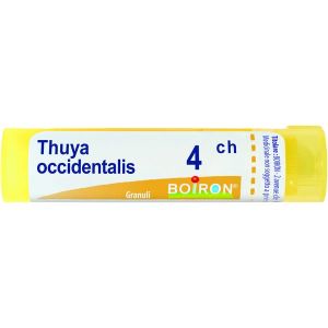 Boiron Thuya Occidentalis 4ch Tubo Granuli 4 G.