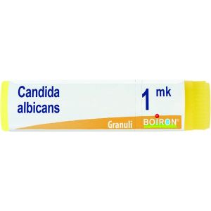 Boiron Candida Albicans Globuli 1mk Dose 1g