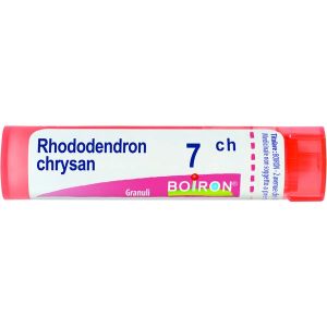 Boiron Rhododendron Chrysanthum 7ch Tubo Granuli 4 G.
