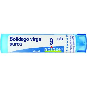 Boiron Solidago Virga Aurea Granuli 09ch Tubo 4g