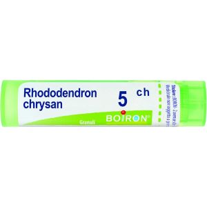 Boiron Rhododendron Chrysanthum 5ch Tubo Granuli 4 G.