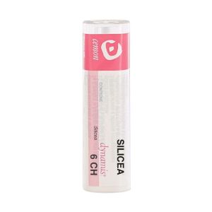 Cemon Silicea 6ch   6g Granuli Contenitore MULTIdose