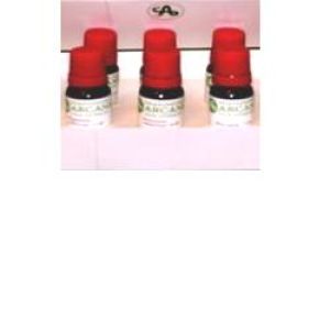 Similia Aesculus Hippocastanum 6LM Drops 10 ml