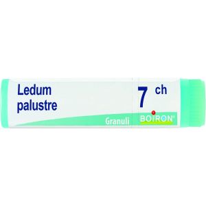Boiron Ledum Palustre Globuli 07ch Dose 1g