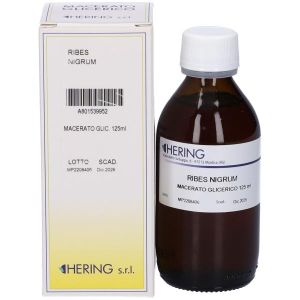 Hering Ribes Nigrum Magerato Glicerico 125ml