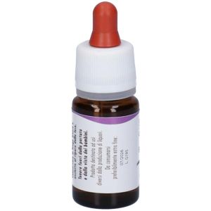 Beech Gun Gocce 10ml Preparazione