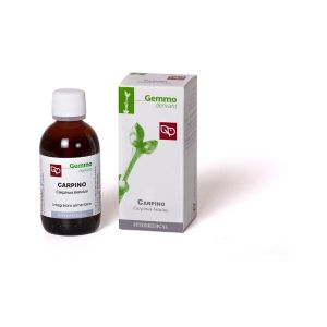Carpino 50ml Macerato Glicerinato