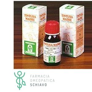 Specchiasol Hydroalcoholic Solution 24 Butcher's Broom 50ml