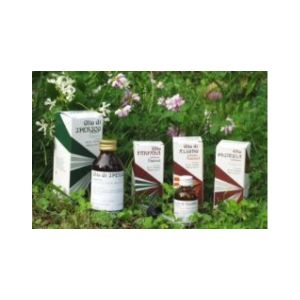 Raemil Propolis Oil 25ml