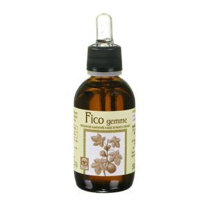 Ecol Fico Gemme Estratto Analcolico 50ml